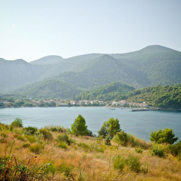 Apartments Family Magazin - Accommodation, Accommodation Family Magazin Žuljana